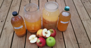 DIY apple Cider Vinegar