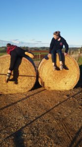Bales of hay family fun